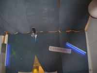 IMGP0433.JPG